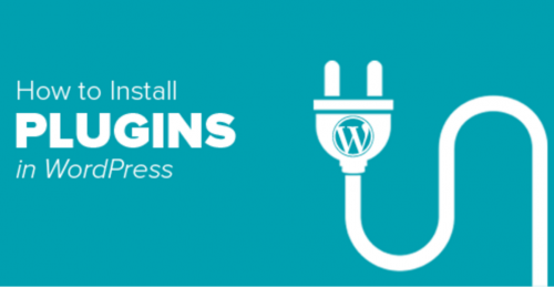 WordPress Plugins