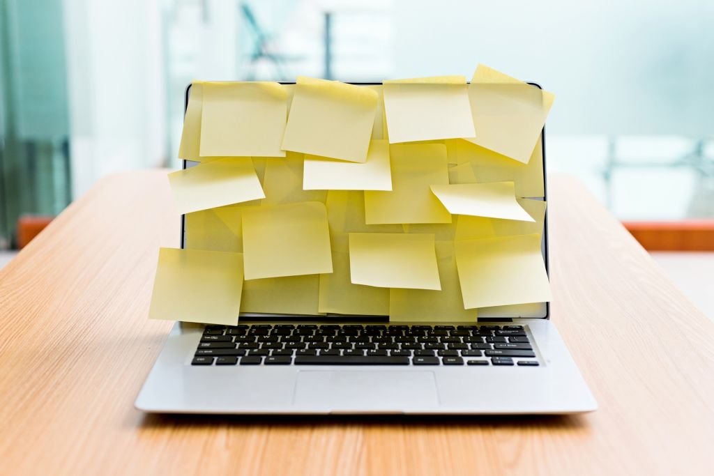 Creating Successful Websites