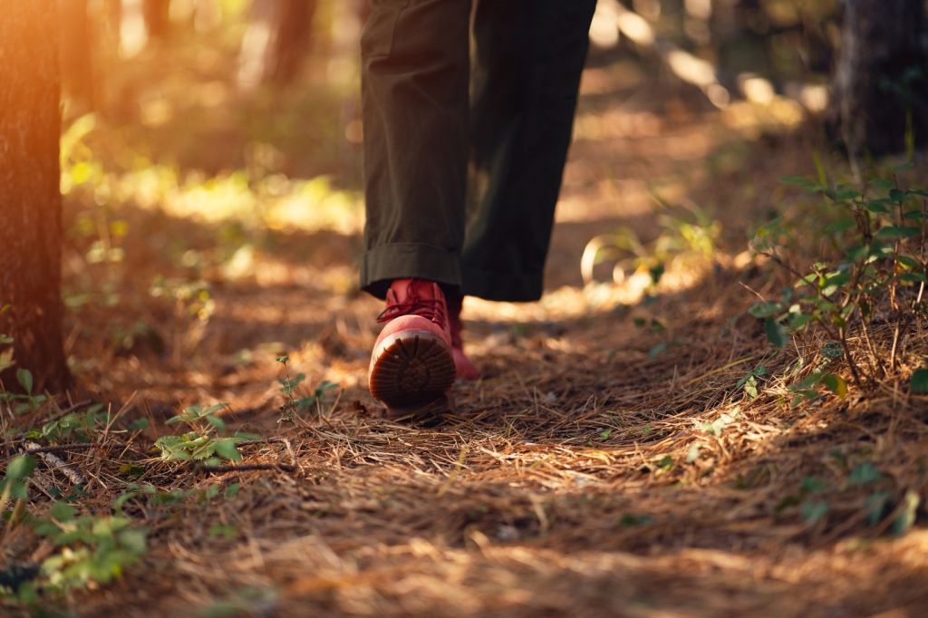 Trailblazing Blogging Formats for Elders