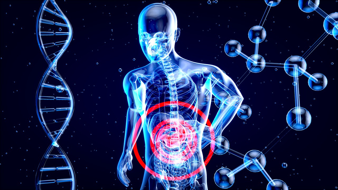 The Ultimate Gut Health Guide for Bloggers Over 50