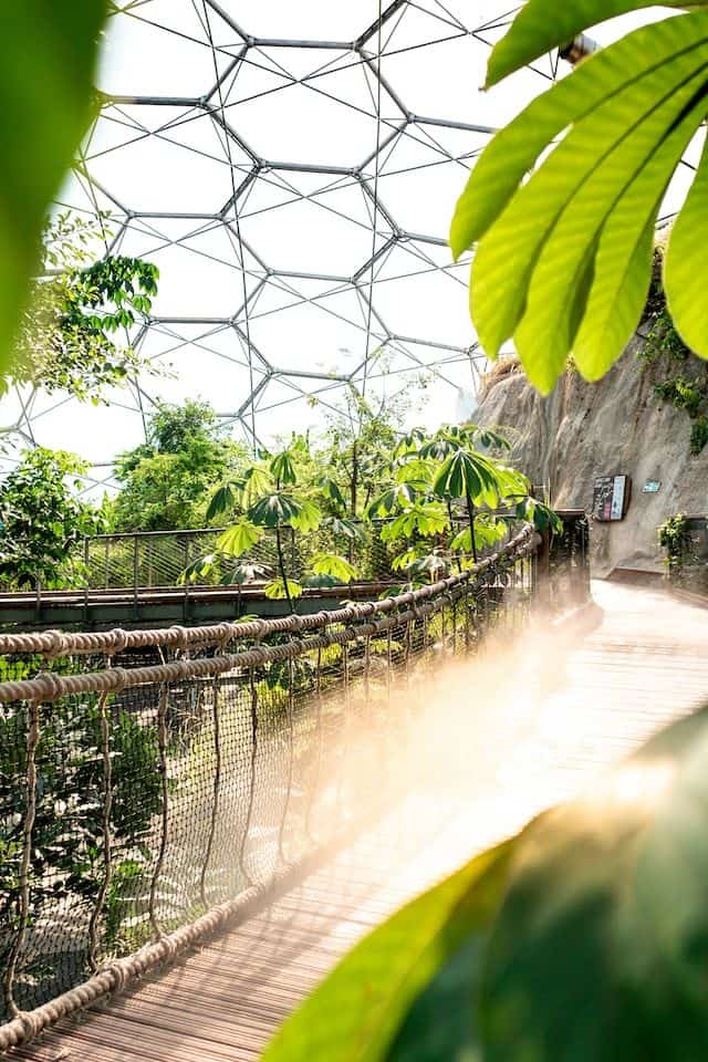 Sir Tim Smit – The Man Who Brought Nature Back to Life